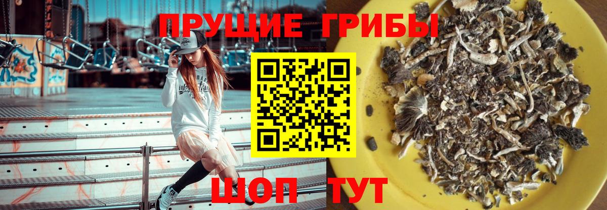 Кузнецк  Галлюциногенные грибы Psilocybine cubensis  Псилоцибиновые грибы мухоморы  где найти наркотики  Вход с VPN 